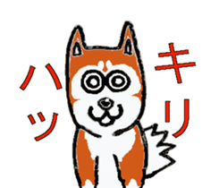 Shiba inu MOMO chan the third  as well! sticker #6679562