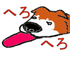 Shiba inu MOMO chan the third  as well! sticker #6679566