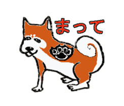 Shiba inu MOMO chan the third  as well! sticker #6679570