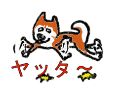 Shiba inu MOMO chan the third  as well! sticker #6679573