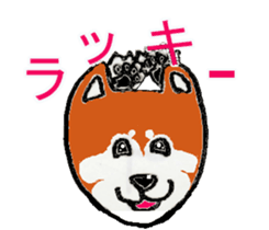 Shiba inu MOMO chan the third  as well! sticker #6679578