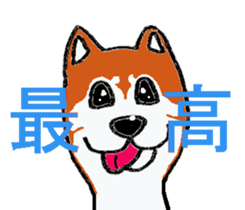 Shiba inu MOMO chan the third  as well! sticker #6679579