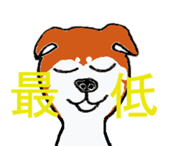 Shiba inu MOMO chan the third as well! sticker #6679580