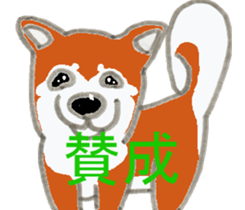 Shiba inu MOMO chan the third  as well! sticker #6679581