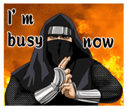 THE NINJA Roguish and serious sticker #6681396