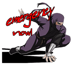 THE NINJA Roguish and serious sticker #6681418