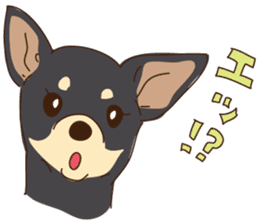 Everyday with Chihuahua sticker #6682686