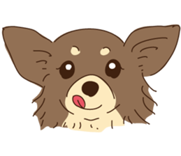 Everyday with Chihuahua sticker #6682692