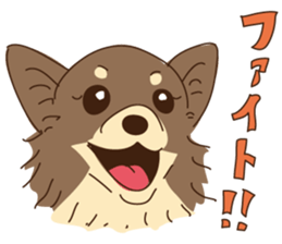 Everyday with Chihuahua sticker #6682693