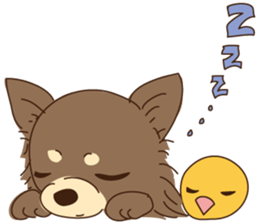 Everyday with Chihuahua sticker #6682696