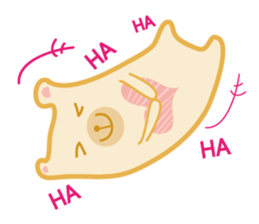 Block bear&Orange rabbit sticker #6683838