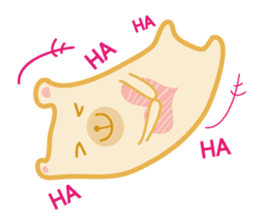 Block bear&Orange rabbit sticker #6683838