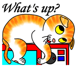 Tamabu- 2 sticker #6684628