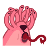 Sharkitty sticker #6685253