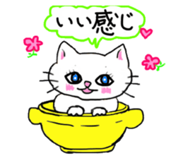 A white cat and the friends sticker #6686793