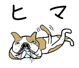 Ugly Cats Sticker sticker #6691371