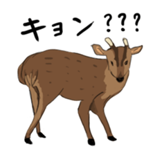 HUNTERS STICKER sticker #6694723