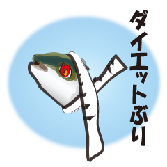 cultured yellowtail is on a diet