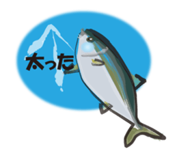 cultured yellowtail is on a diet sticker #6695404