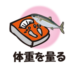 cultured yellowtail is on a diet sticker #6695405