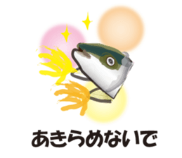 cultured yellowtail is on a diet sticker #6695408