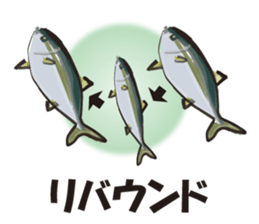 cultured yellowtail is on a diet sticker #6695413