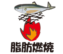 cultured yellowtail is on a diet sticker #6695414