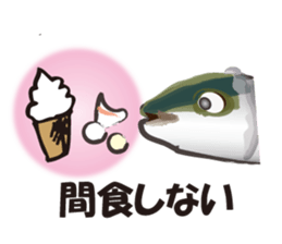 cultured yellowtail is on a diet sticker #6695415