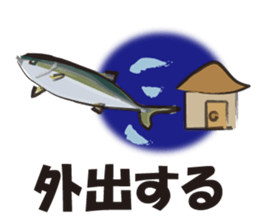 cultured yellowtail is on a diet sticker #6695418