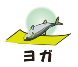 cultured yellowtail is on a diet sticker #6695424