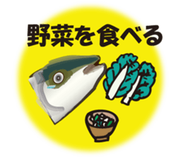 cultured yellowtail is on a diet sticker #6695428