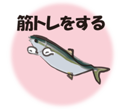 cultured yellowtail is on a diet sticker #6695438