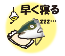 cultured yellowtail is on a diet sticker #6695444