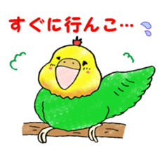 Green of guys sticker #6695454