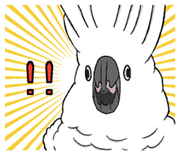 Umbrella cockatoo daily sticker #6696240