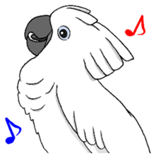 Umbrella cockatoo daily sticker #6696263