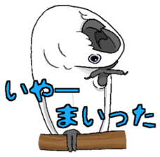 Umbrella cockatoo daily sticker #6696266