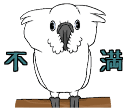 Umbrella cockatoo daily sticker #6696272