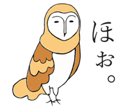 Barn Owl And Cat sticker #6697640