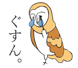 Barn Owl And Cat sticker #6697642