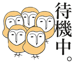 Barn Owl And Cat sticker #6697654