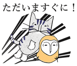 Barn Owl And Cat sticker #6697657