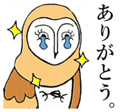 Barn Owl And Cat sticker #6697678