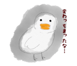 soft bird sticker #6697733