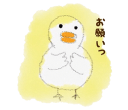 soft bird sticker #6697756