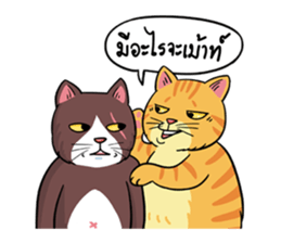 Tong Fat Cat and the Gang sticker #6700588