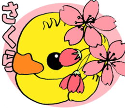 Lovely Rubber ducks sticker #6702678