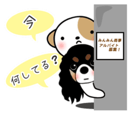 shih-tzu Yama-chan 3 sticker #6703364
