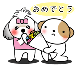 shih-tzu Yama-chan 3 sticker #6703374