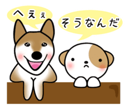shih-tzu Yama-chan 3 sticker #6703395
